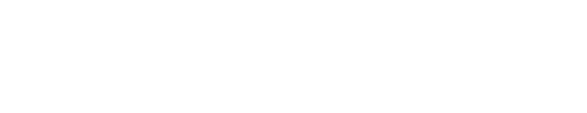 Fly Media